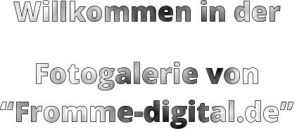 Willkommen in der Fotogalerie von “Fromme-digital.de”